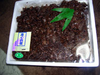 9d75b3e5.jpg