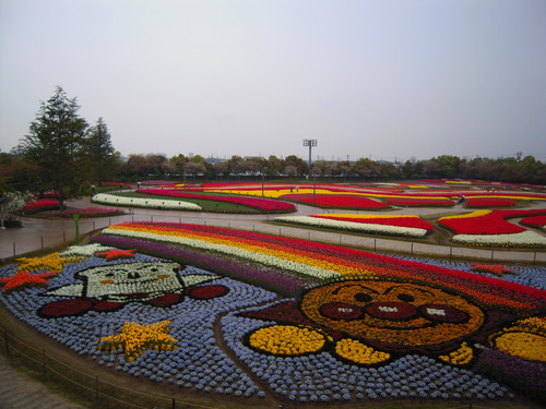 DSCN5334