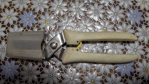 PXL_20251026_045536491