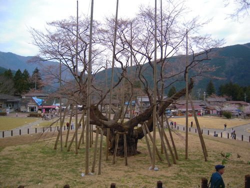 DSCN5120