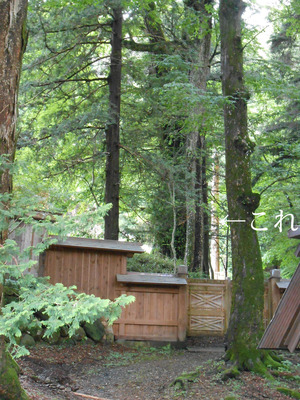 DSCN6961のコピー