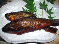 a41a9290.jpg