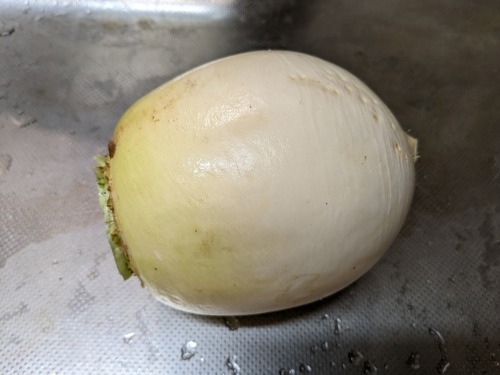 PXL_20231201_094158893