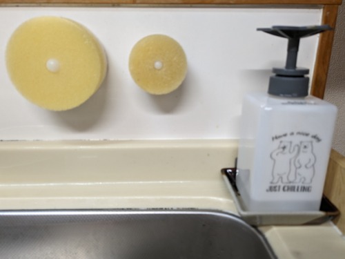 PXL_20240127_095639253