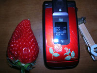 a766f16a.jpg