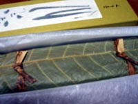 a7fcc1c1.jpg