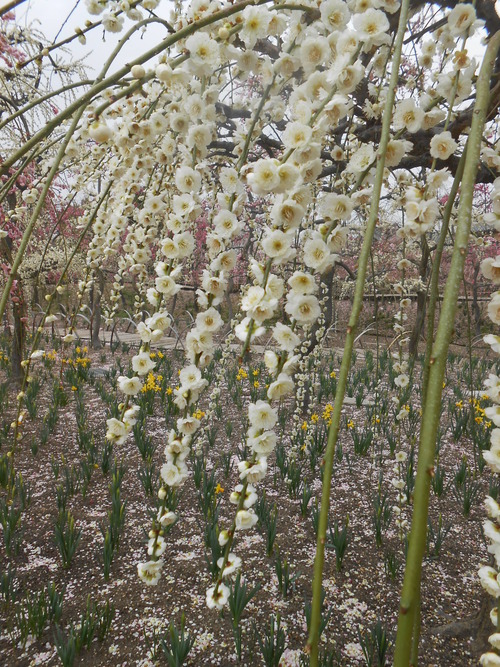 035