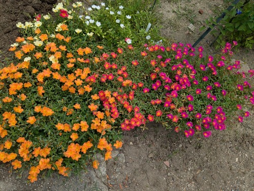 PXL_20250807_022627643