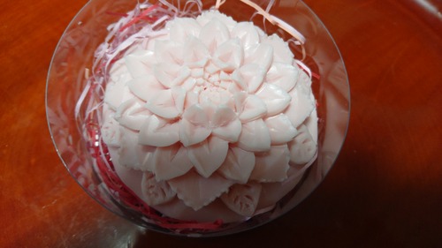 DSC_0000_BURST20200124175930853