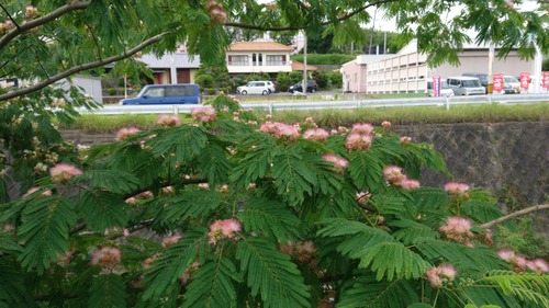 DSC_0000_BURST20230625172439745