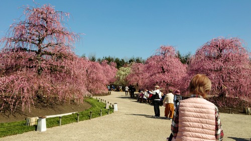 DSC_0000_BURST20230306131846046