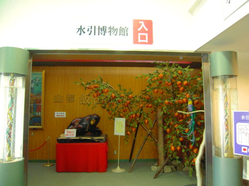 DSCN6201