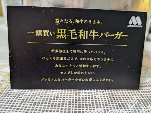 PXL_20250105_233842790