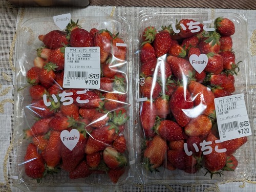 PXL_20250424_070238835