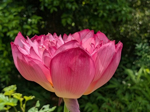 PXL_20250704_030511207