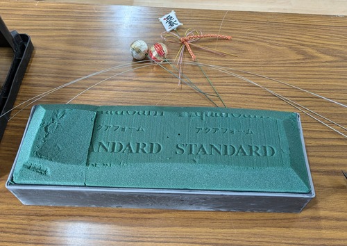 PXL_20241228_010621824