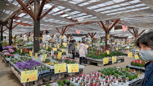 PXL_20260323_021349885