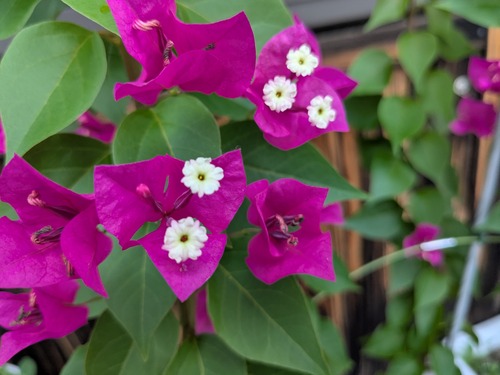 PXL_20250807_073139687