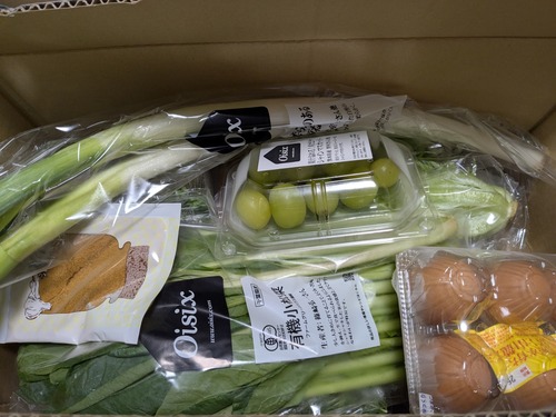 PXL_20250926_010117485