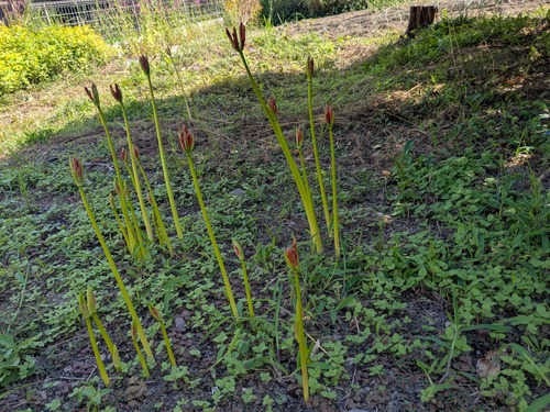 PXL_20250927_042121307