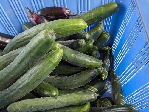 PXL_20250622_063426355