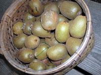 c36f014b.jpg