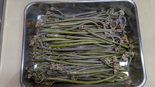 PXL_20260329_080954186