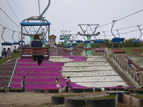 DSCN6228
