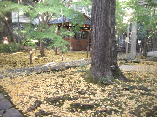 DSCF0418