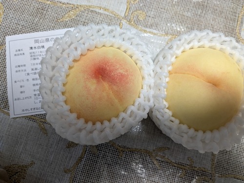 PXL_20240724_052229563