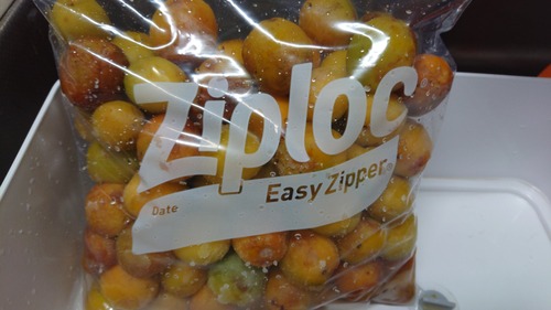 DSC_0000_BURST20210604105155492