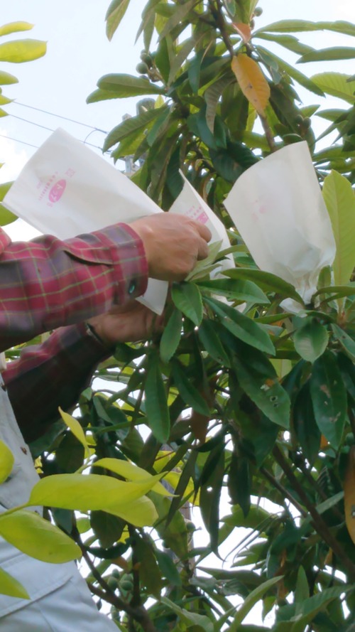 DSC_0001_BURST20210503162420940