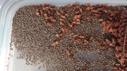 DSC_0000_BURST20221223094535378