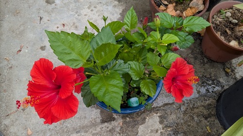 PXL_20260608_020702076