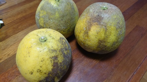 DSC_0000_BURST20190713143910947