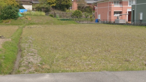 DSC_0001_BURST20200426112929795