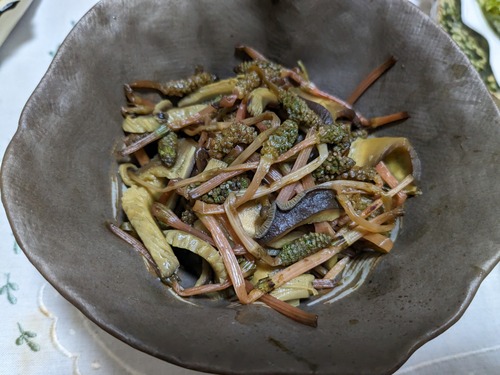 PXL_20240317_081755601