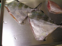 d2625e13.jpg