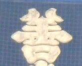 6d86146b~2