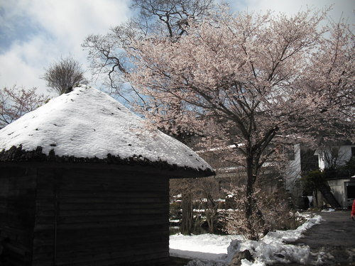 DSCF0237