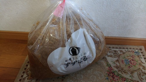 DSC_0001_BURST20230129163537413