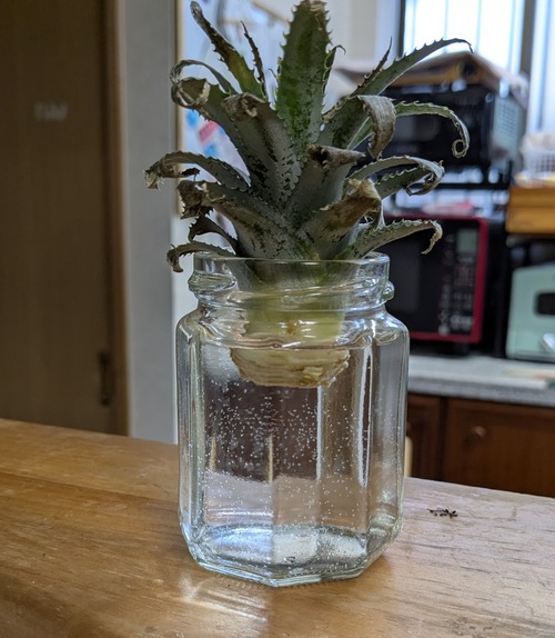 PXL_20250501_083221682