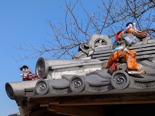 PXL_20250227_012059177