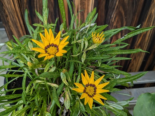 PXL_20250807_022608867