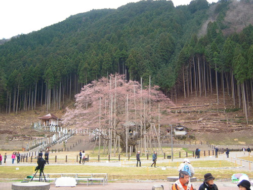 DSCN5129
