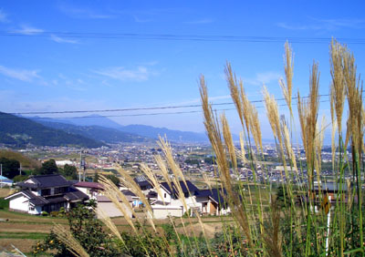 e21c63e0.jpg