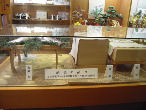 DSCN6212
