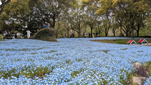 PXL_20260409_030658239