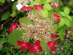 e2c9133a.jpg