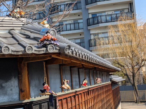 PXL_20250227_013055971